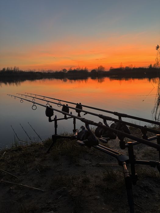 Rod pod avid lok down compact pod