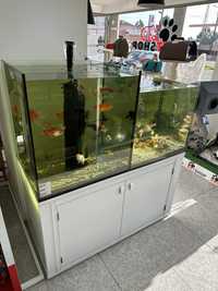 Bateria cascata peixes agua fria