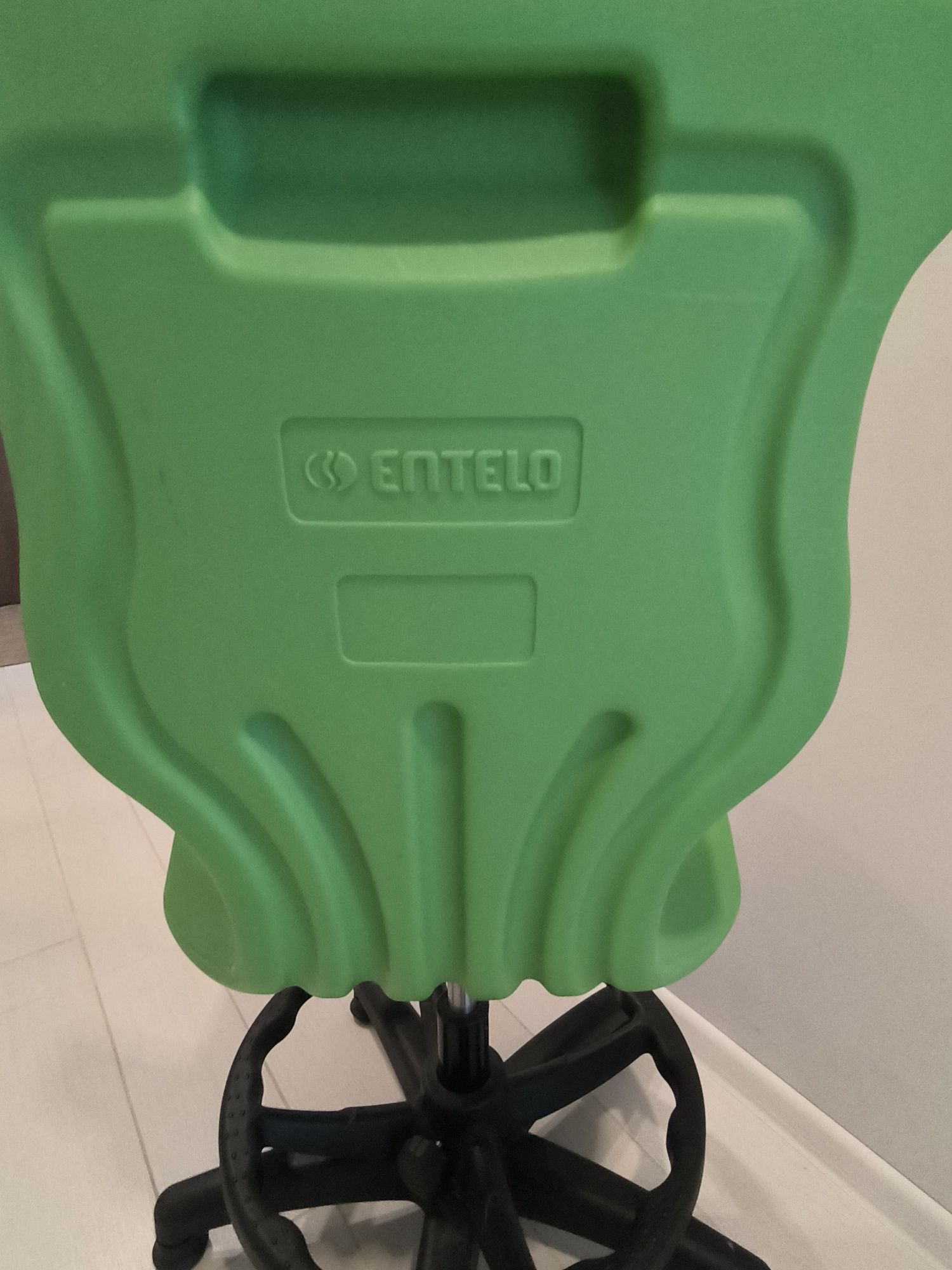 Krzesło ergonomiczne Entelo