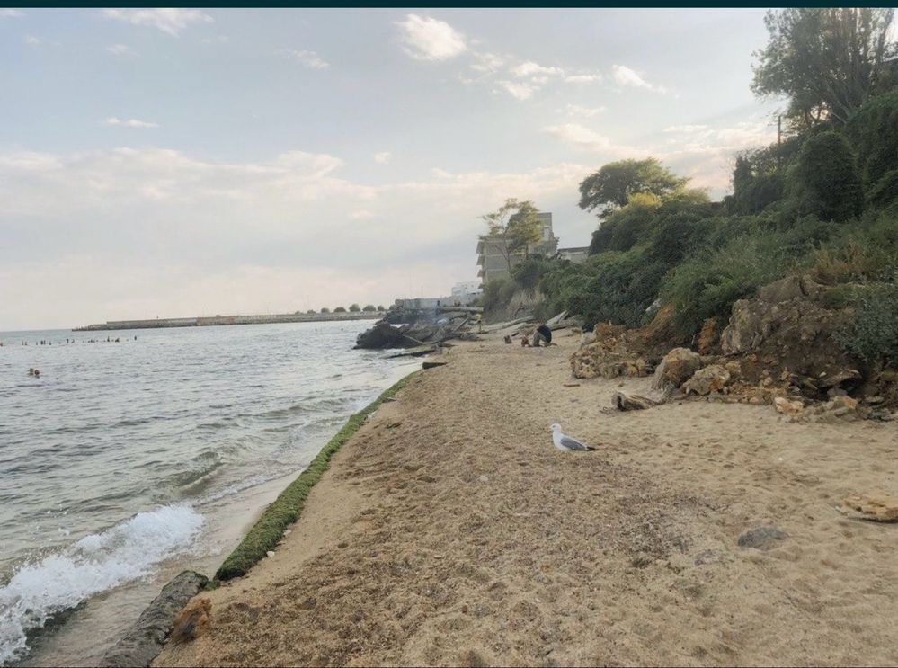Сдам номера  у моря ( первая линия)