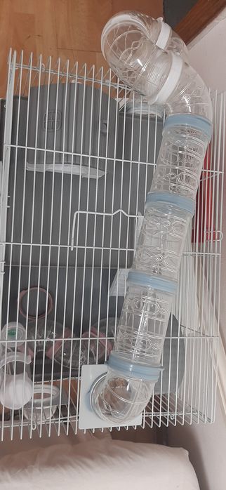 Gaiola  para pássaros/papagaio mesmo novo