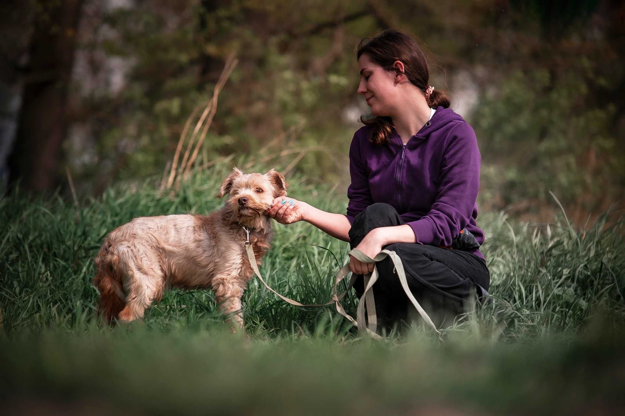 Dior, pies po Wojtyszkach, szuka spokojnego miejsca na ziemi ADOPCJA