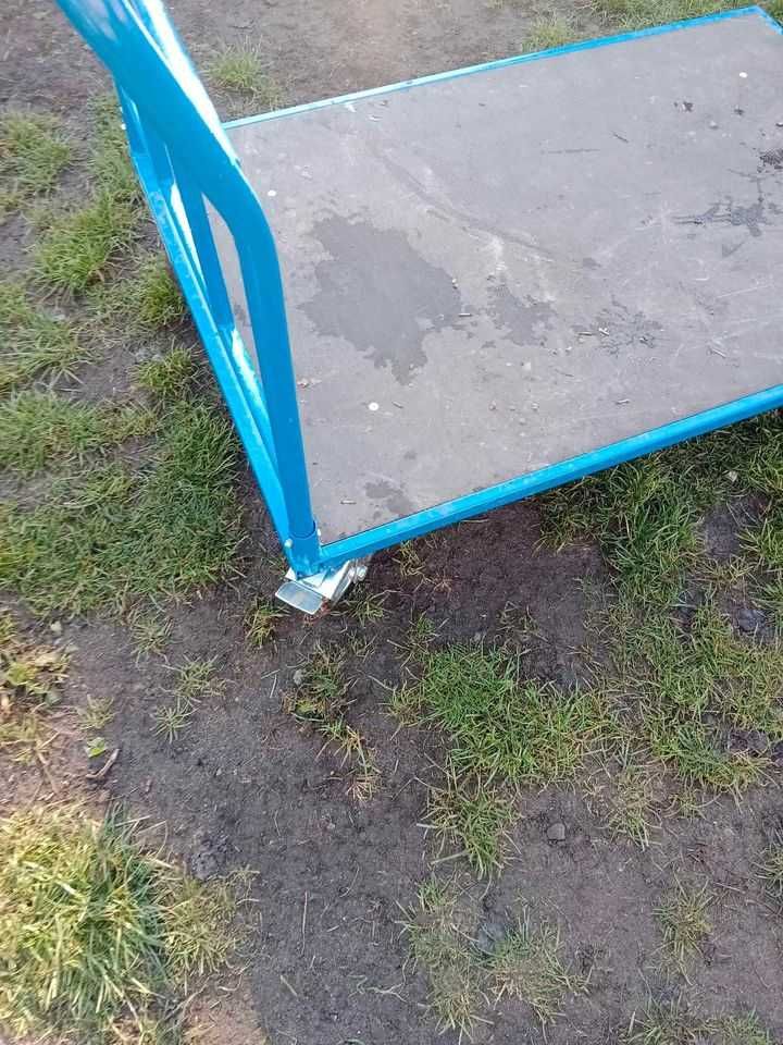 wozek platformowy