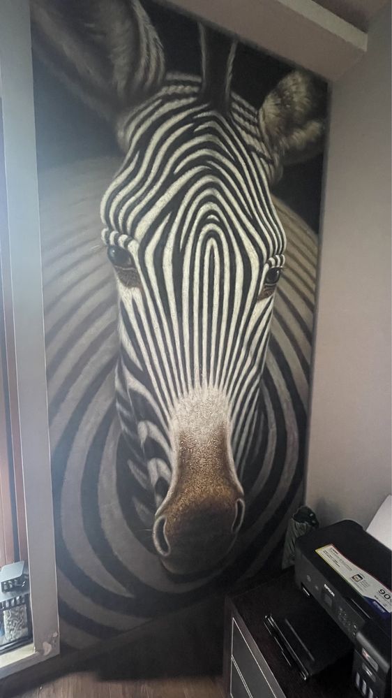 Obraz Zebra 120x240