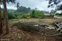 Terreno, Luso