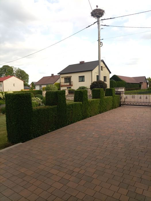 Pielęgnacja ogrodów