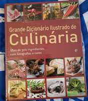 Grande Dicionário Ilustrado de Culinária