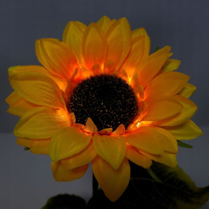 Słonecznik solarny LED 75 cm