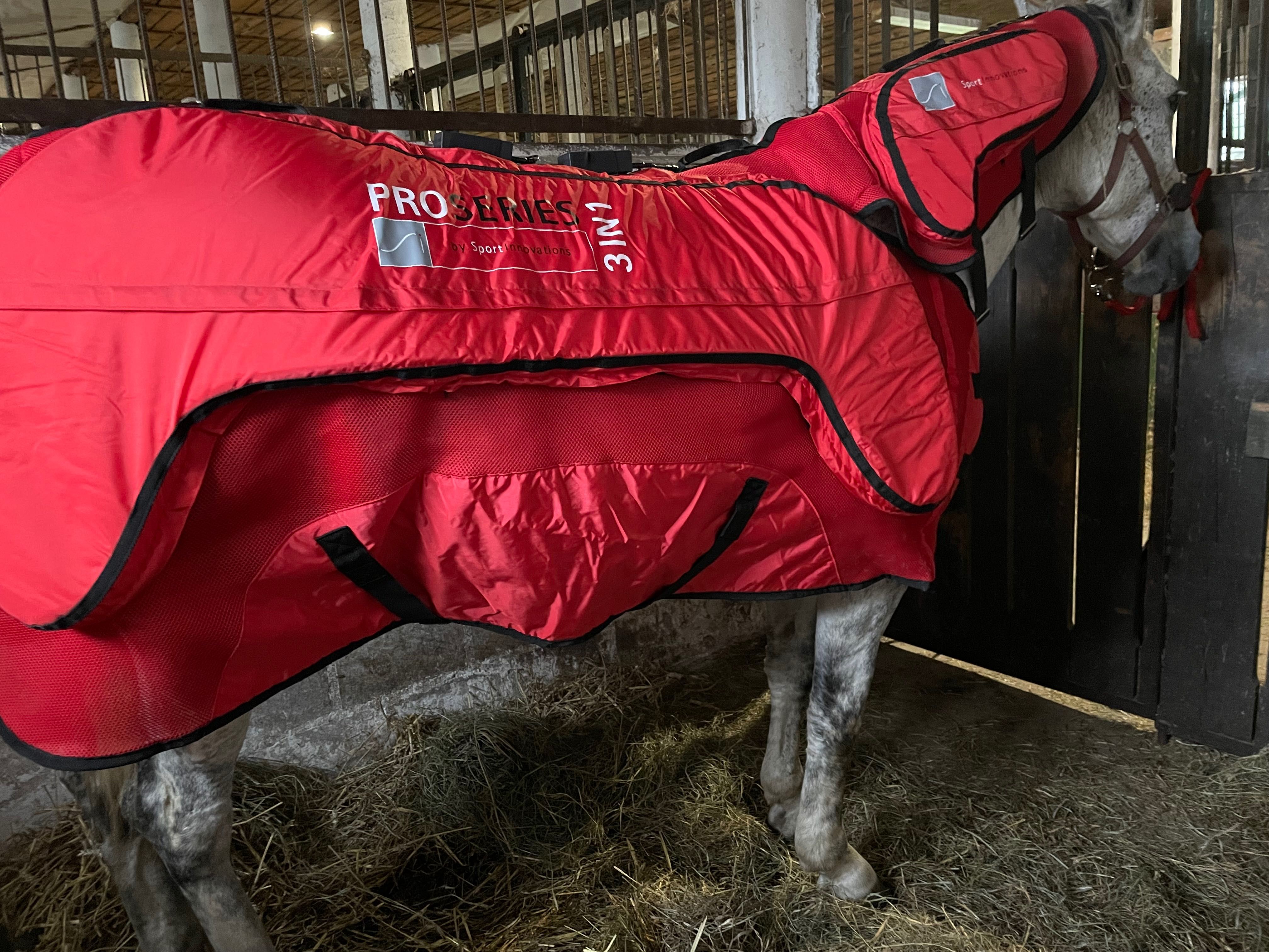 Derka terapeutyczna PEMF ProSeries 3in1