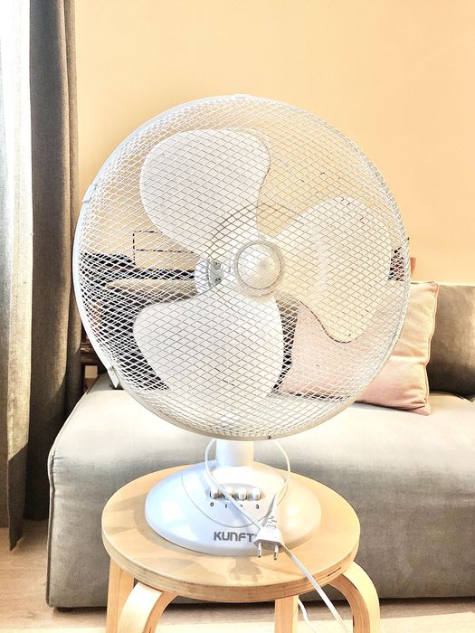 Fan / Ventoinha / Ventilador (Lisboa)