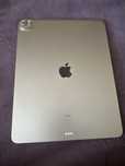 Apple Ipad Pro 12.9 5 gen 256