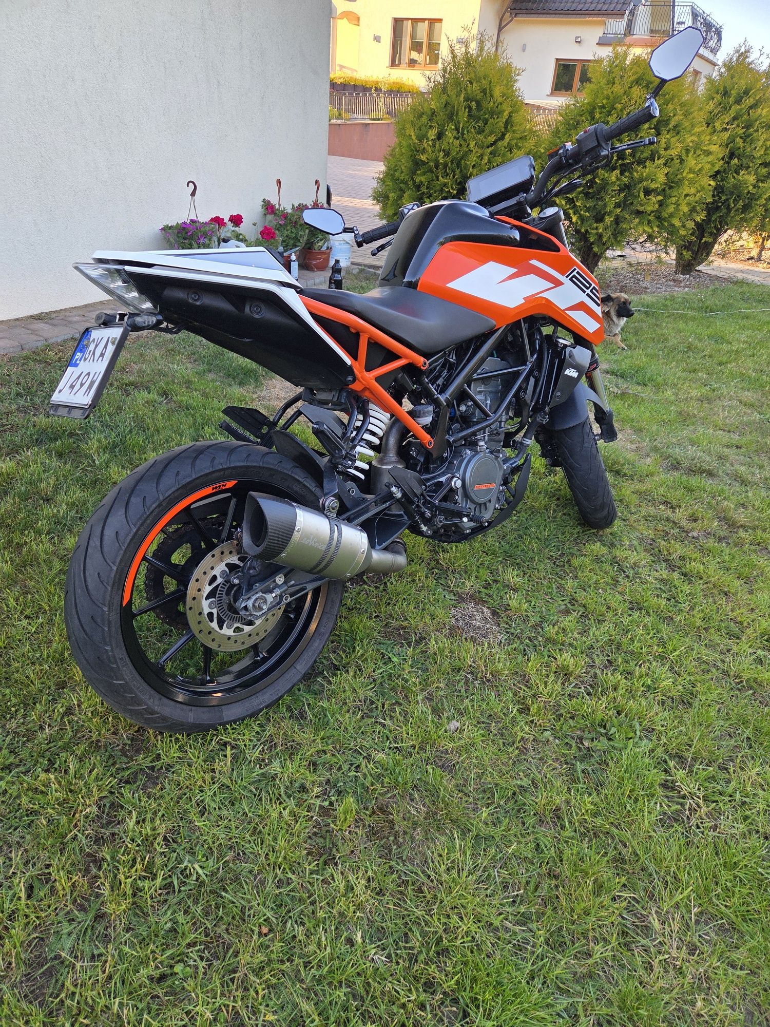 KTM Duke 2017r 125 wydech leovince