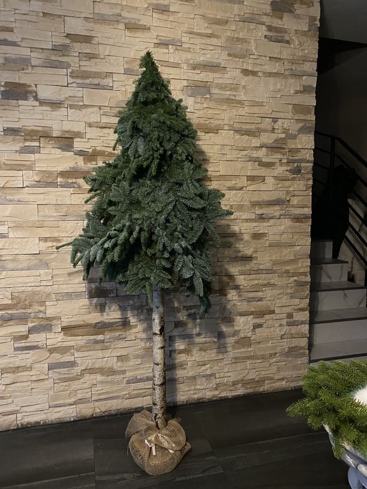 Ozdoby świąteczne z jodły – misie, choinki, stroiki