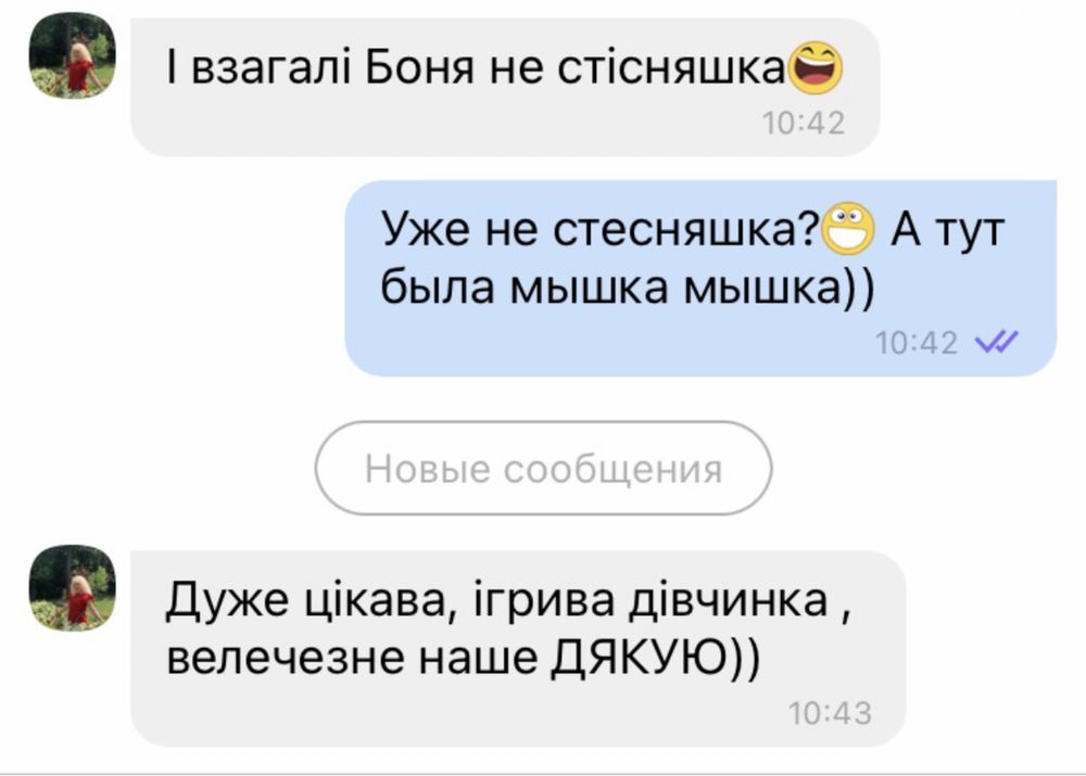 Маленьке йорко диво)