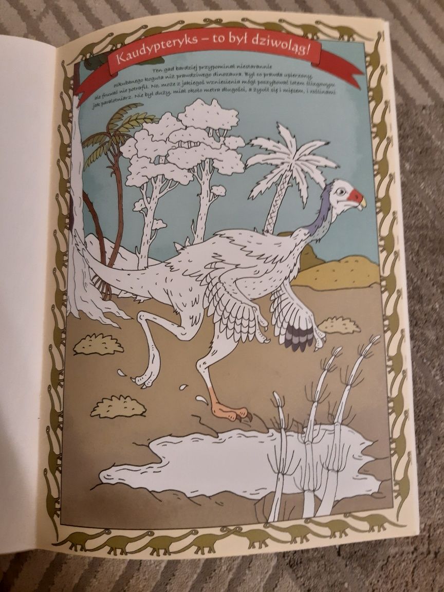 Nowa Kolorowanka Dinozaury