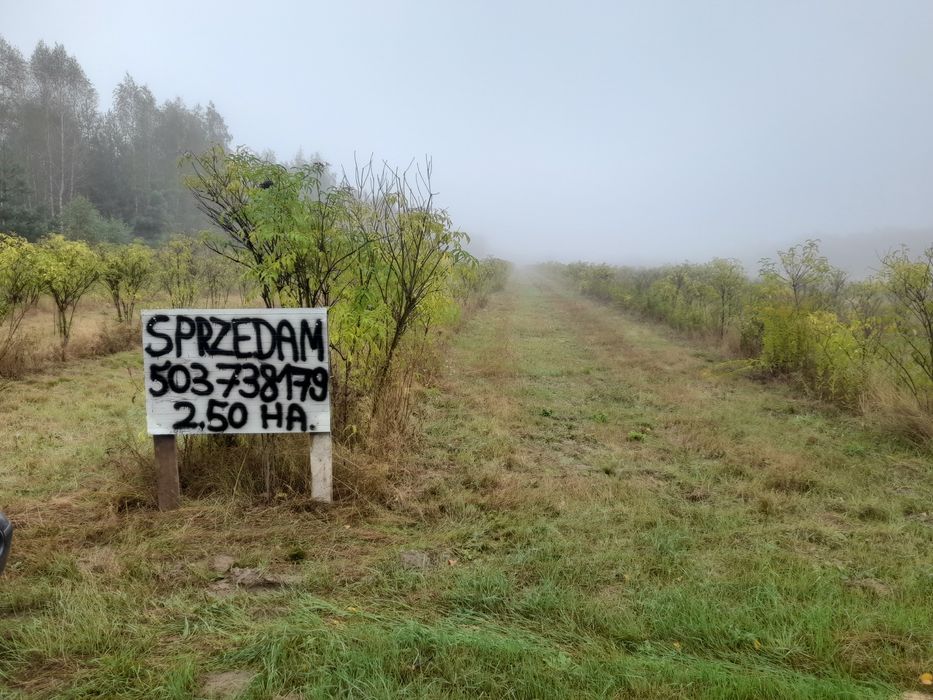 Działka rolna 2.49