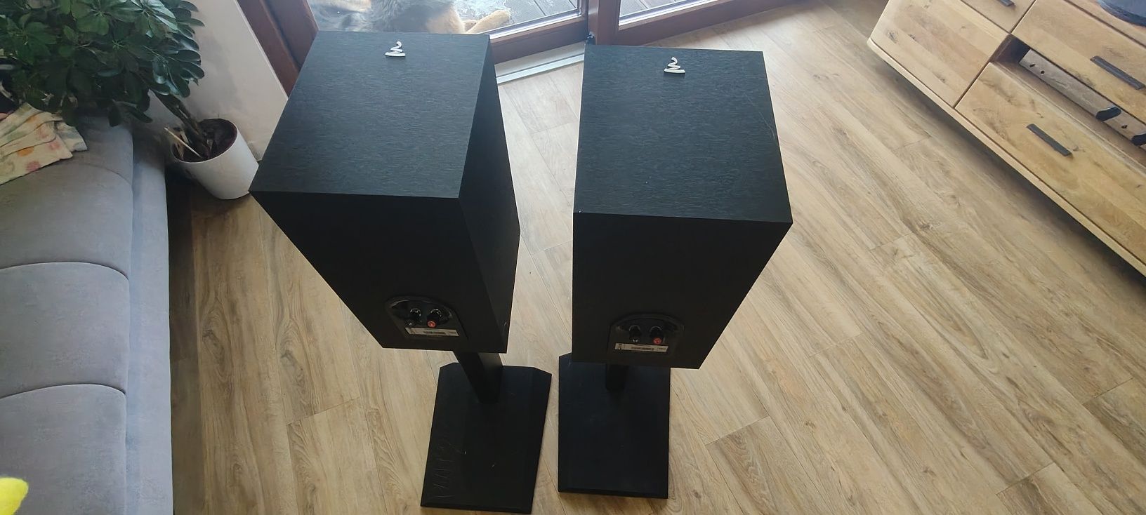 Kolumny Focal chora 806