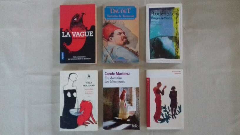 Livros em francês - 5,00€ cada
