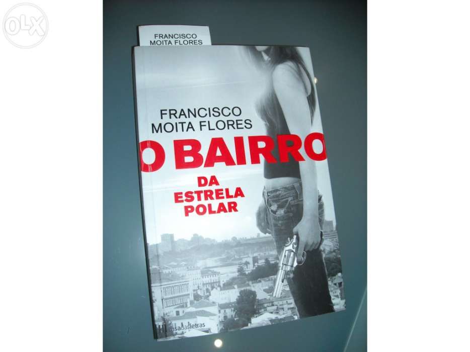 Livro o bairro da estrela polar.