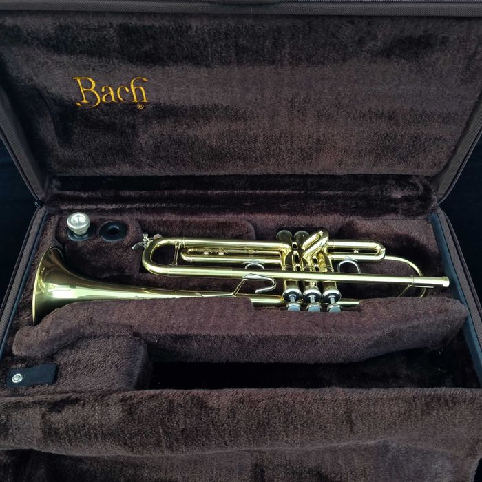 Salsa horn Vincent Bach Stradivarius 25 LARGE trąbka ustnik gamonbrass