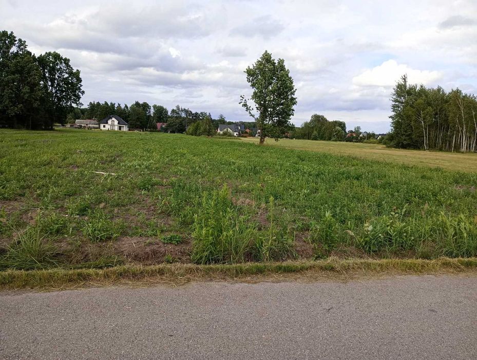 Działka rolno -budowlana 2km od Mińsk Mazowiecki