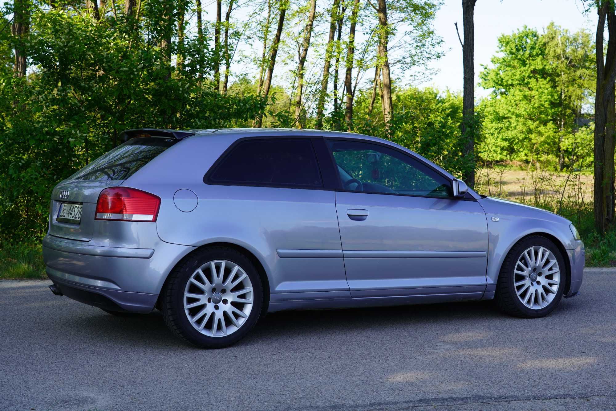 Audi A3 8P 1.9 TDI