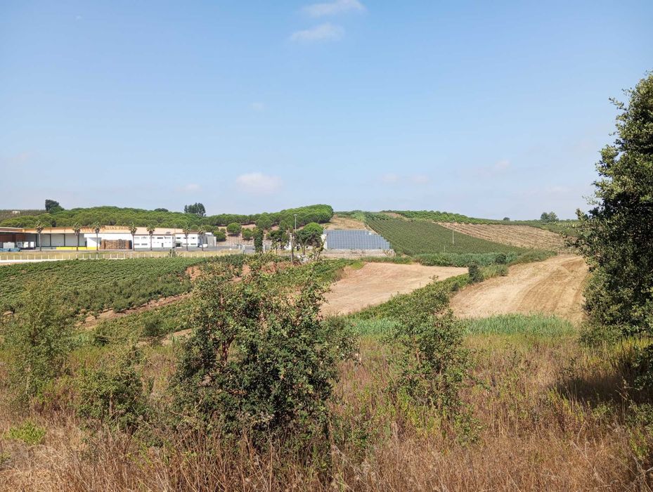 Terreno agrícola