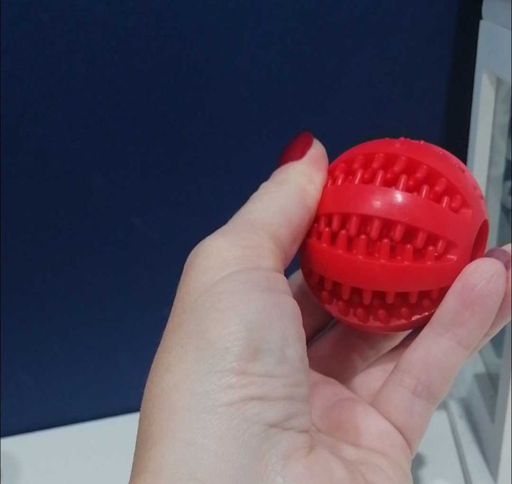 Kula smakula dla gryzonia - nowa