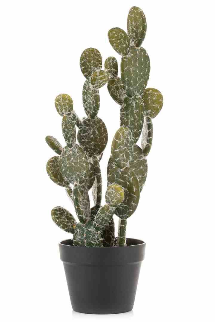 Sztuczny kaktus bardzo realistyczny
