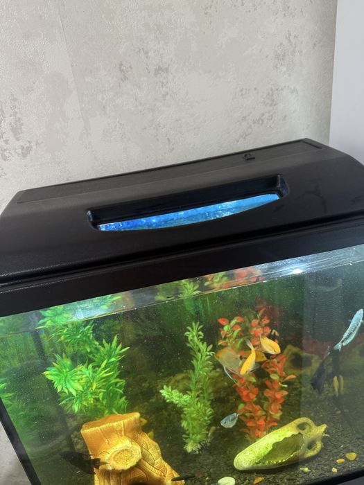 Аквариум 90 л  полностью укомплектован