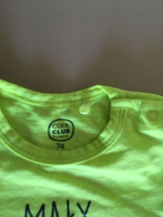 Body z krótkim rękawem w rozmiarze 74 Cool club #74.16