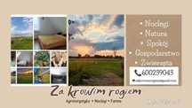 Noclegi/Agroturystyka Za krowim Rogiem Krzyż Wielkopolski/Huta Szklana