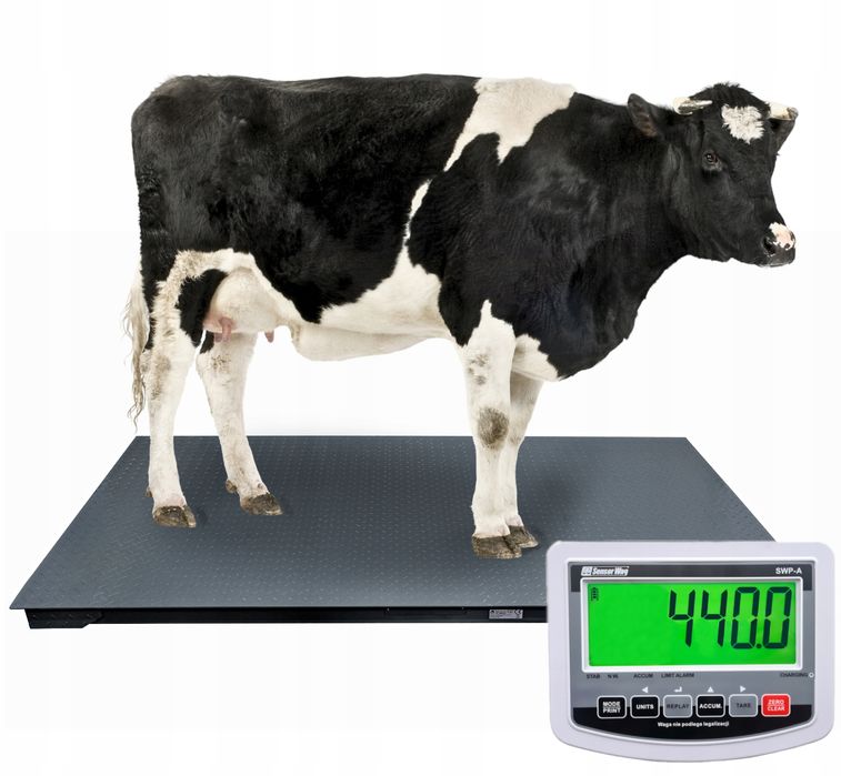 Waga inwentarzowa Do Zwierząt do 5000kg do krów świń 1,00x2,20 DOSTAWA
