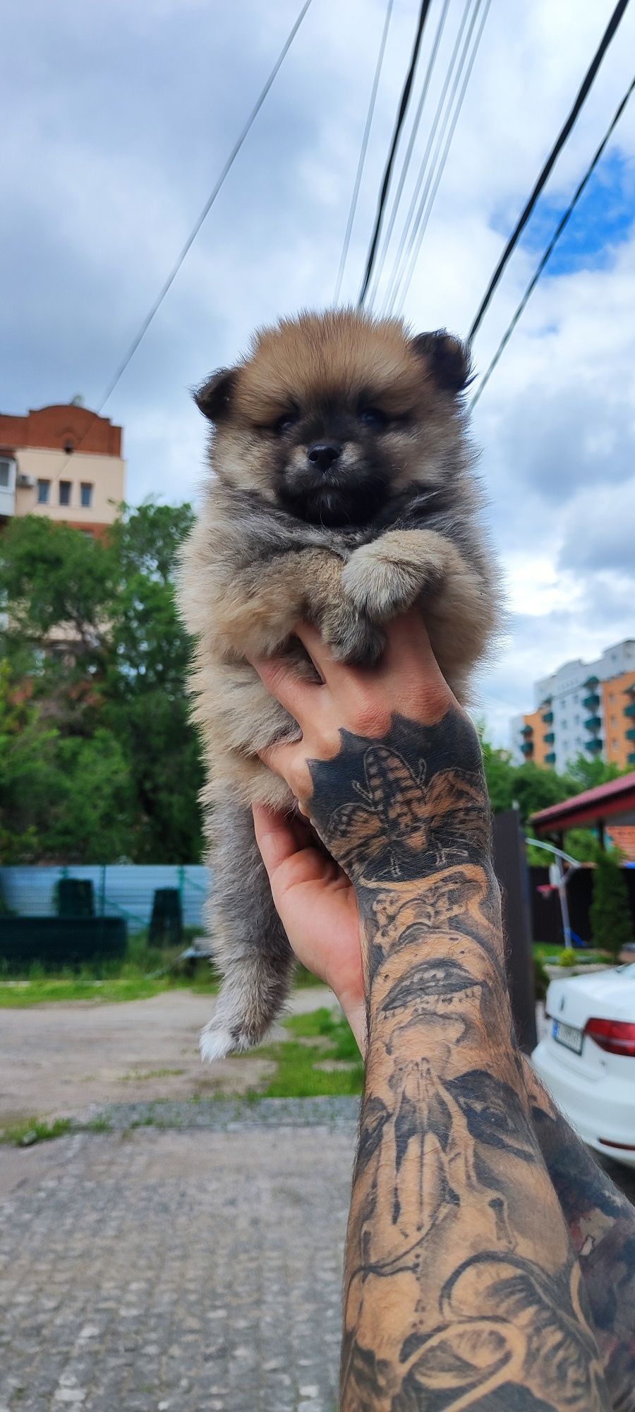 Цікаві, дівчатка! Вони на фото