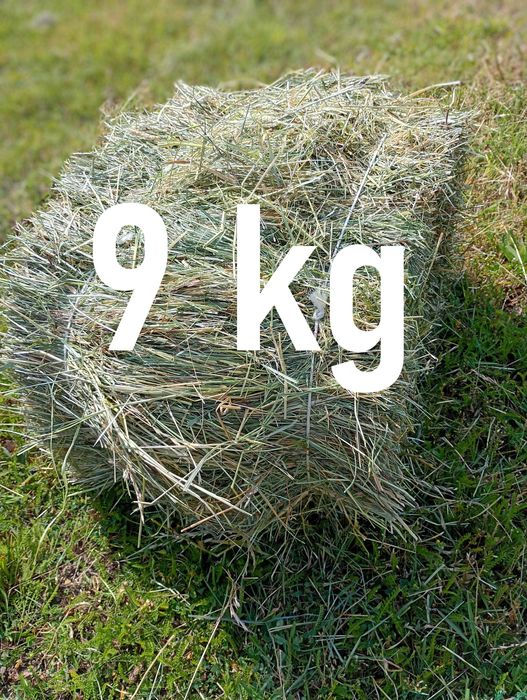 Naturalne siano łąkowe dla KRÓLIKA gryzoni 9 kg od rolnika 2025