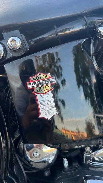 Harley Davidson Softail Springer Chican Style