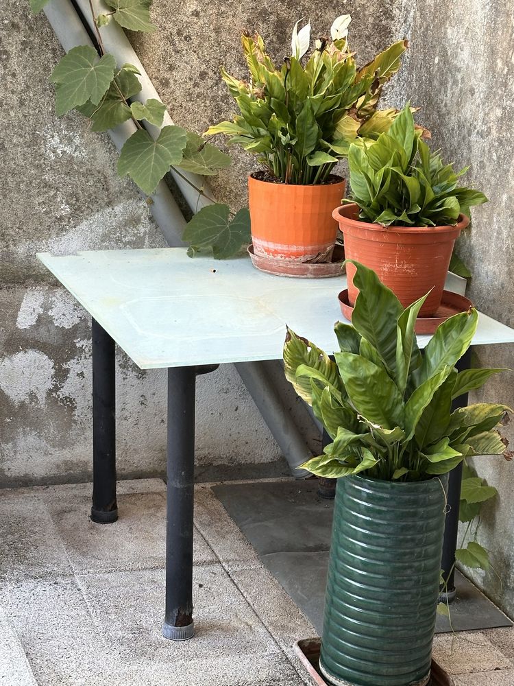 Mesa antiga sem fixacao