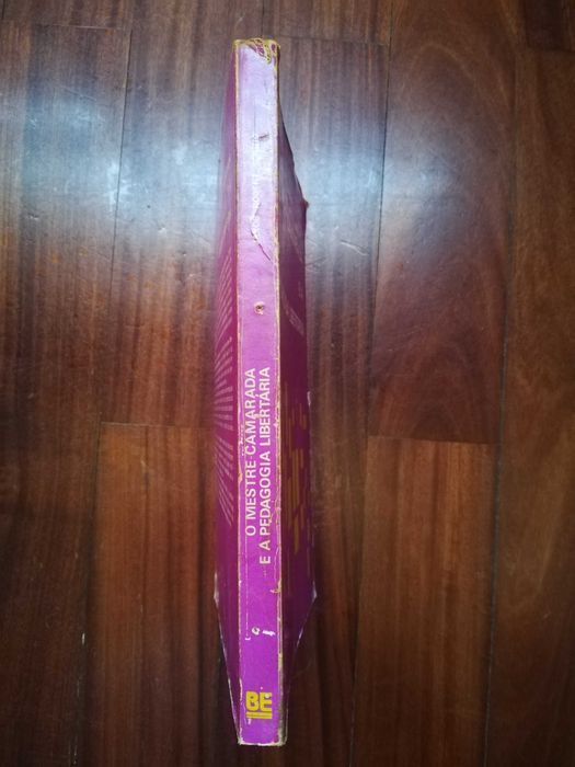O Mestre-Camarada e a Pedagogia Libertária