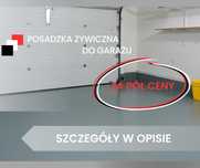 Posadzka Żywiczna Do Garażu Za Pół Ceny