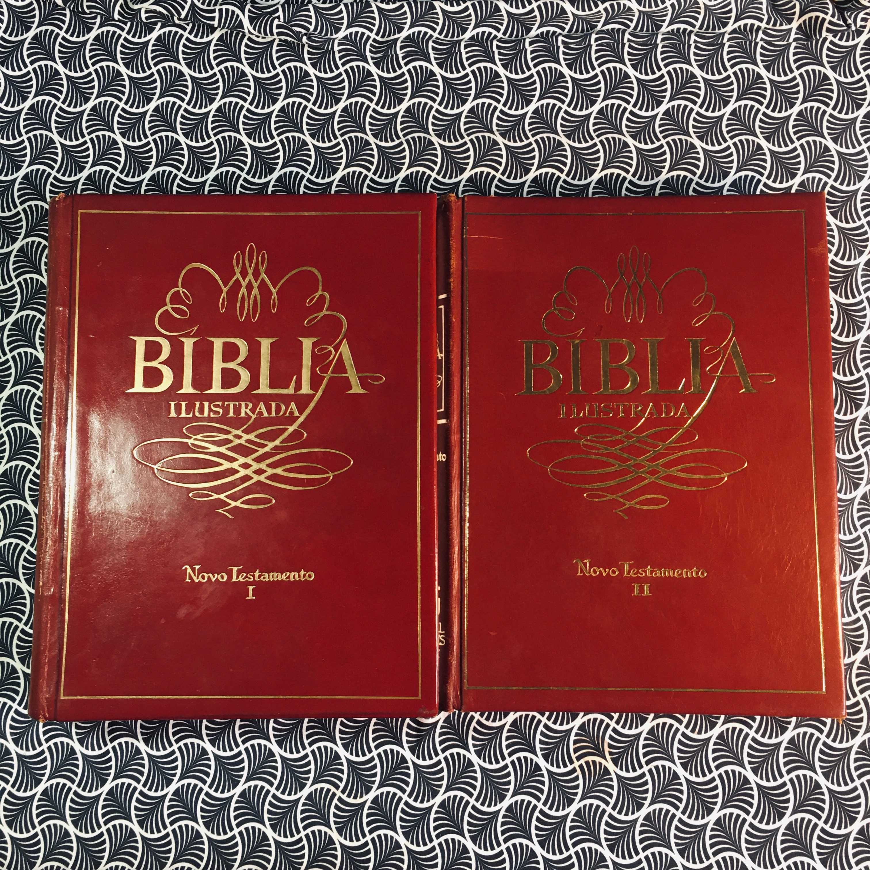 Bíblia Ilustrada (7 vols.)	- Editorial Universus