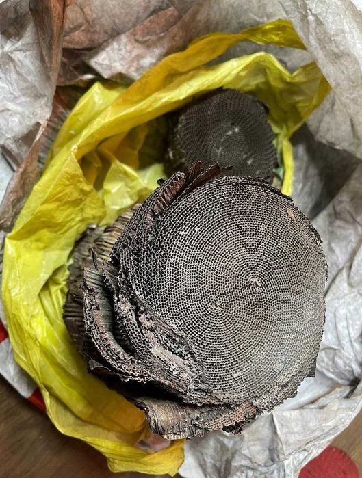 Катализатор, сдать, скупка, выкуп купить, сажевый дорого каталізатор