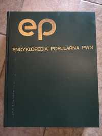 Encyklopedia Popularna PWN wyd. XVII z 1982 JAK NOWE