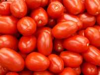 Pomidor Lima Naturalny 6KG Zbieram Zamowienia