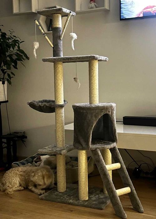 Drapak dla kota 6 poziomów schodki (Nowy) legowisko wieża wysoki