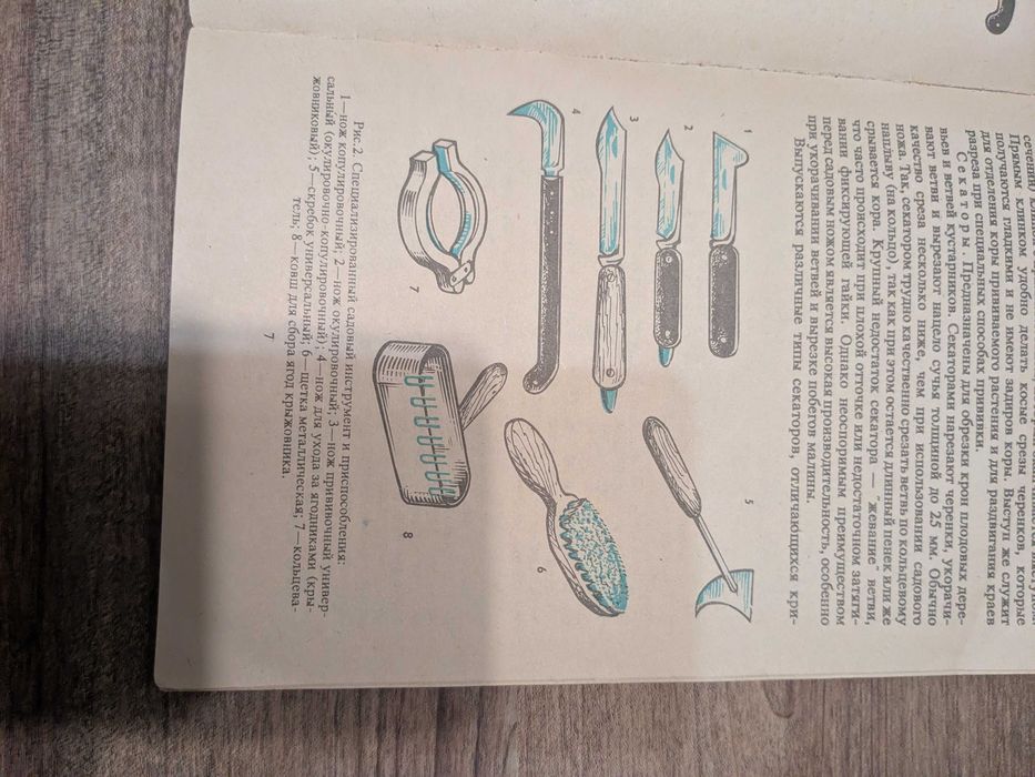 Опыты в школьном саду