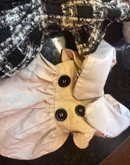 Conjunto roupa Chihuahua (cadela ou gata de porte pequeno)