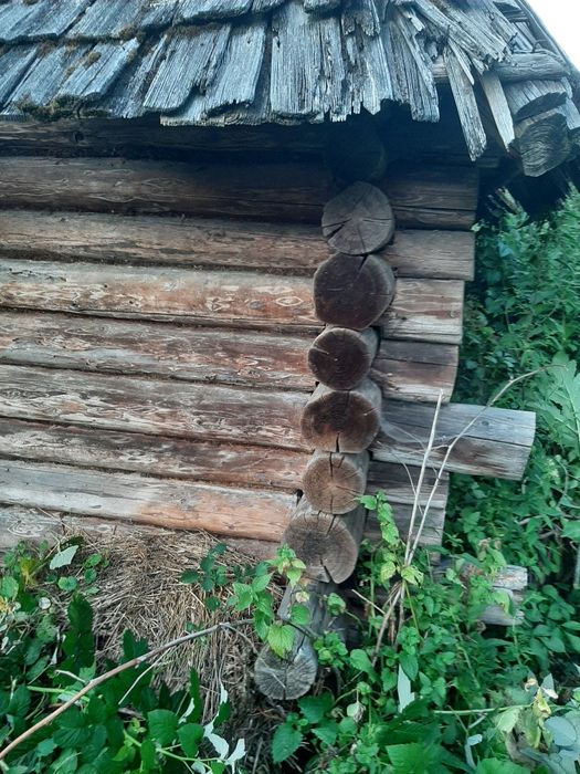 Продам кругляк якому більше 50 років ціна договірна можливо обмін