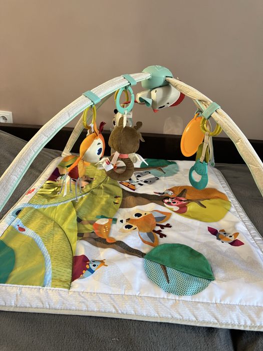Развивающий коврик с дугами Tiny Love