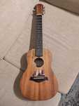 GUITARRA travelguitar by RayPaul
