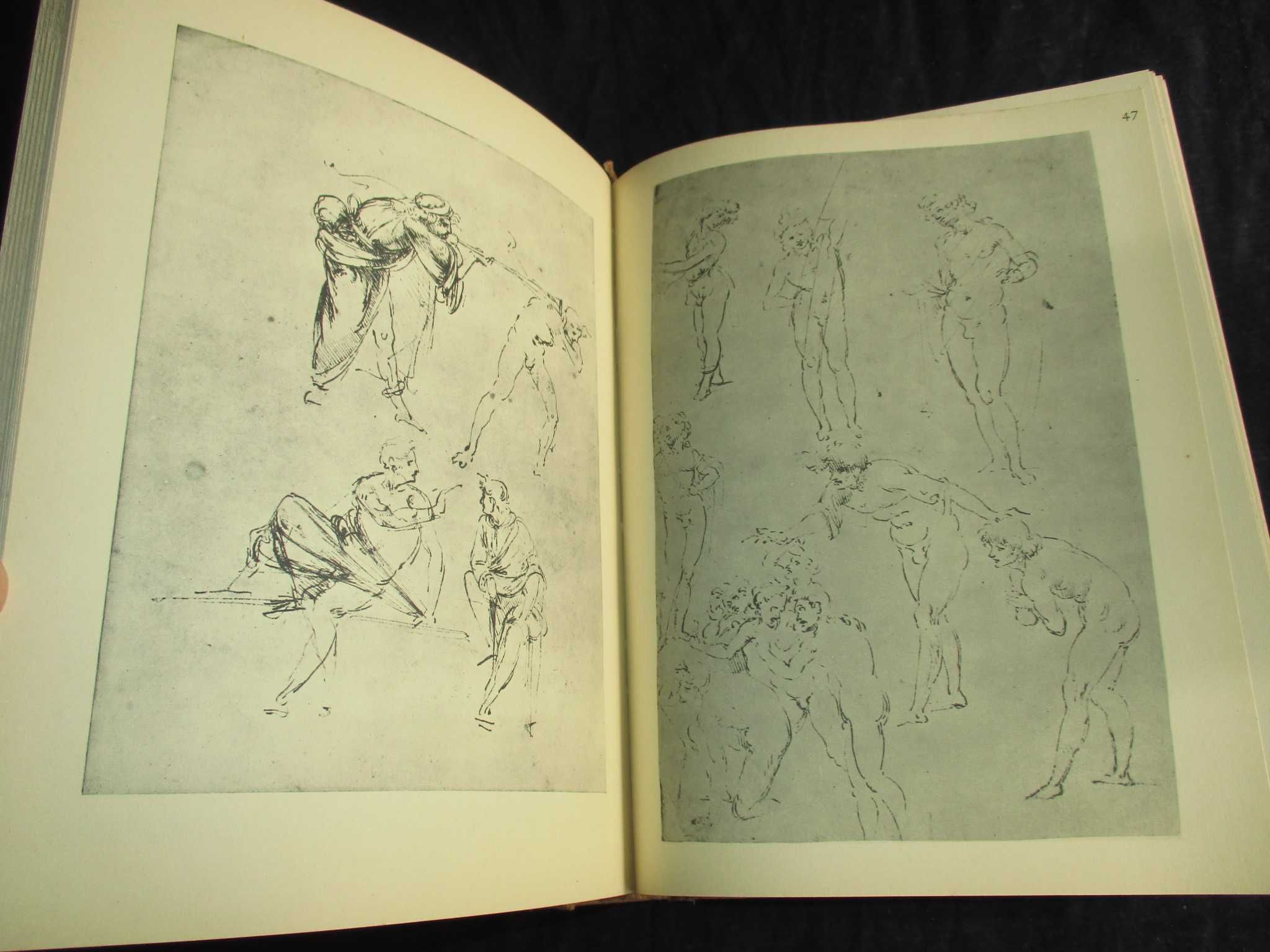 Livro Les Dessins de Leonard de Vinci Desenhos de Leonardo da Vinci
